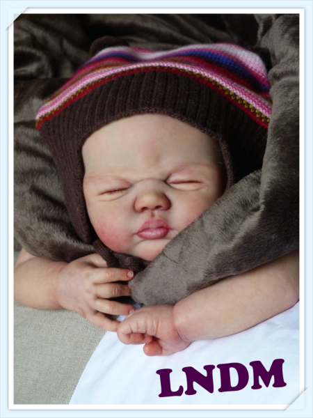 LDC® Soft Line Benji von Sandy Faber