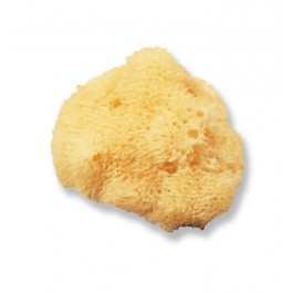 Natural Painting Sponges