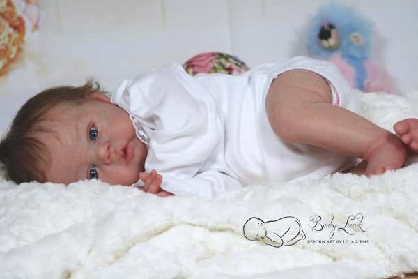 Reborn Bausatz Morgan von Sandy Faber