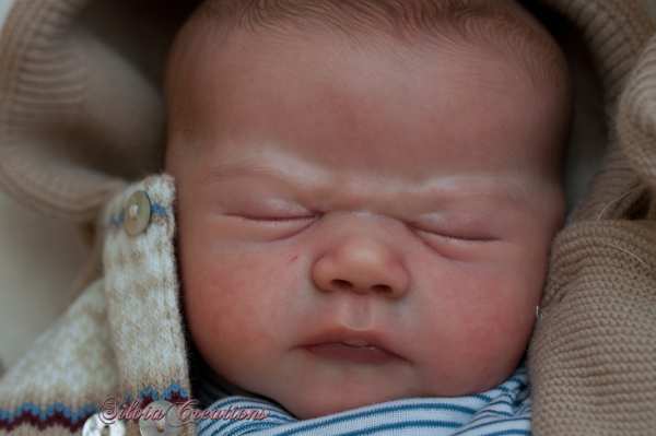 Reborn Bausatz Vienna von Sandy Faber