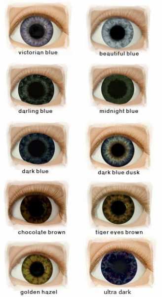 Real Eyes