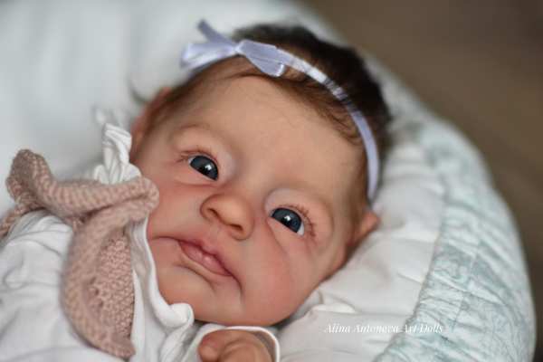 Giulia reborn best sale