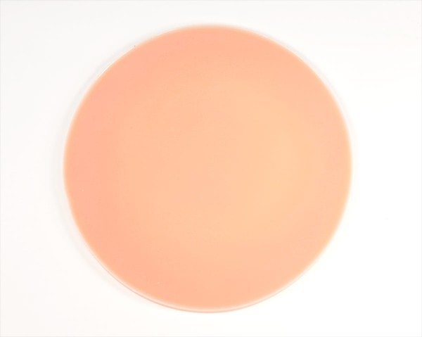 Modèle d'essai de peinture en silicone Ecoflex 20