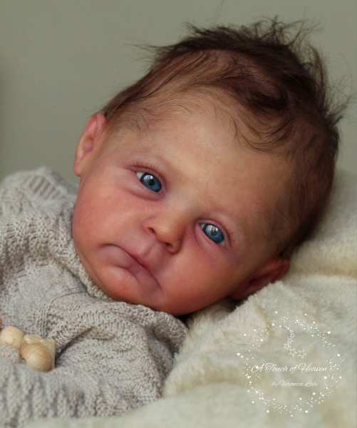 Reborn Bausatz Rafael von Severine Piret