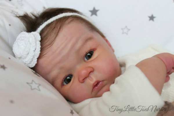 Reborn Bausatz Bailey von Sandy Faber