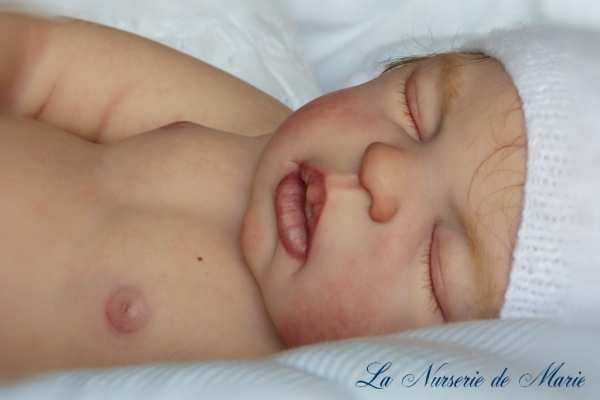 LDC® Soft Line Henrietta von Sheila Michael