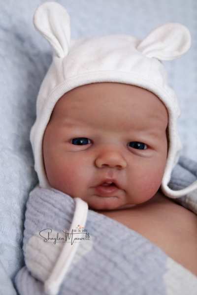 Reborn Bausatz Freddy von Sandy Faber