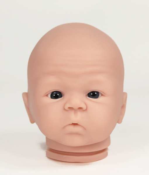 Reborn Kopf Bailey von Sandy Faber