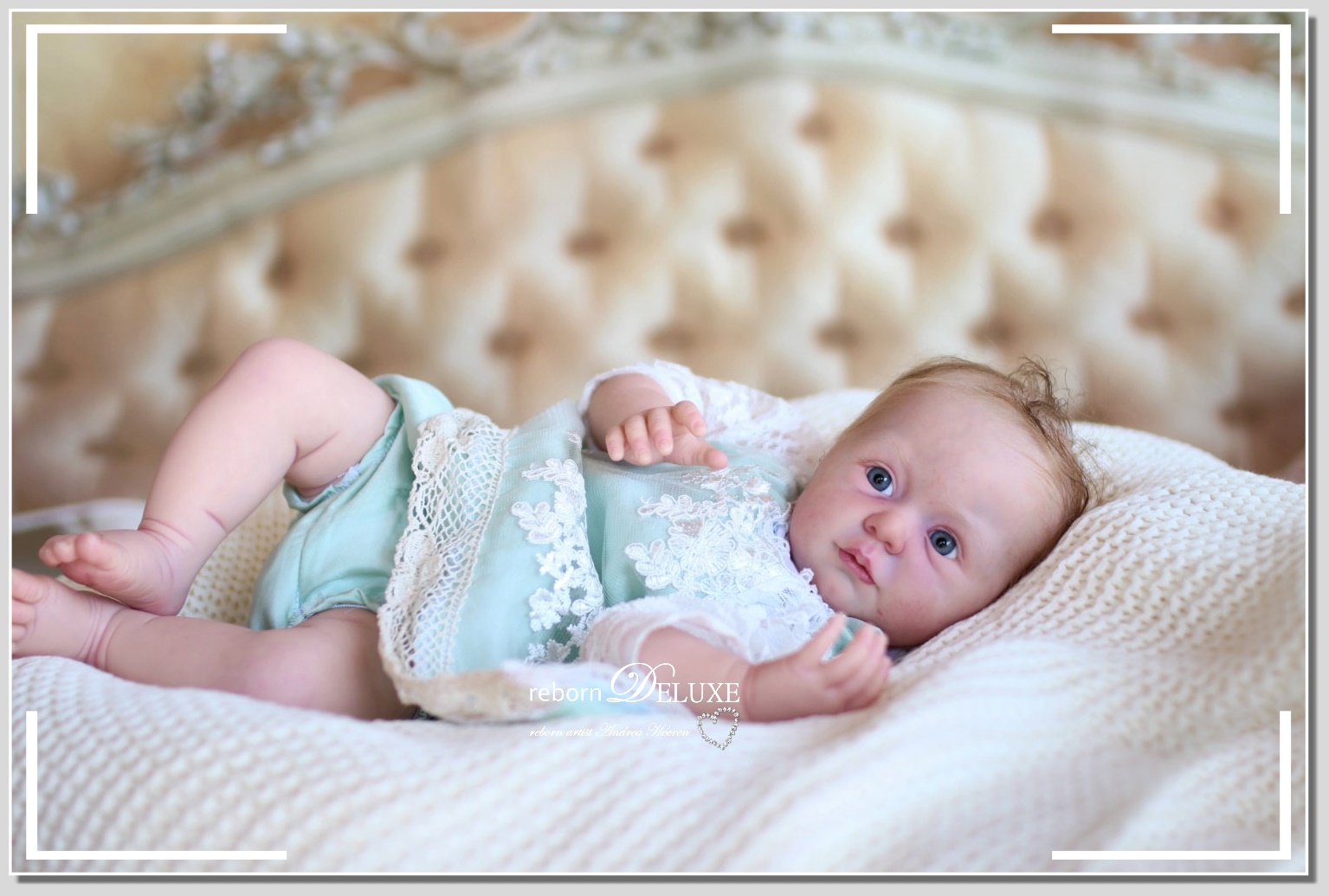 sophie reborn kit