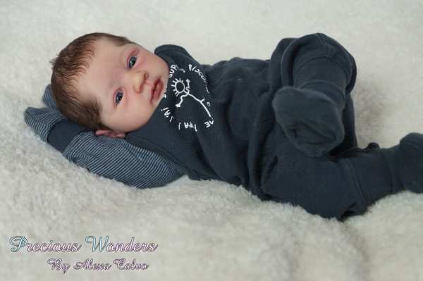 Reborn Bausatz Felix von Linde Scherer