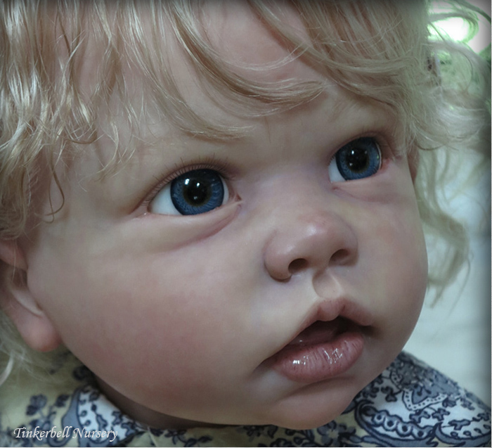 tippi reborn kit