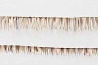 Rooting Wimpern Rooting Wimpern