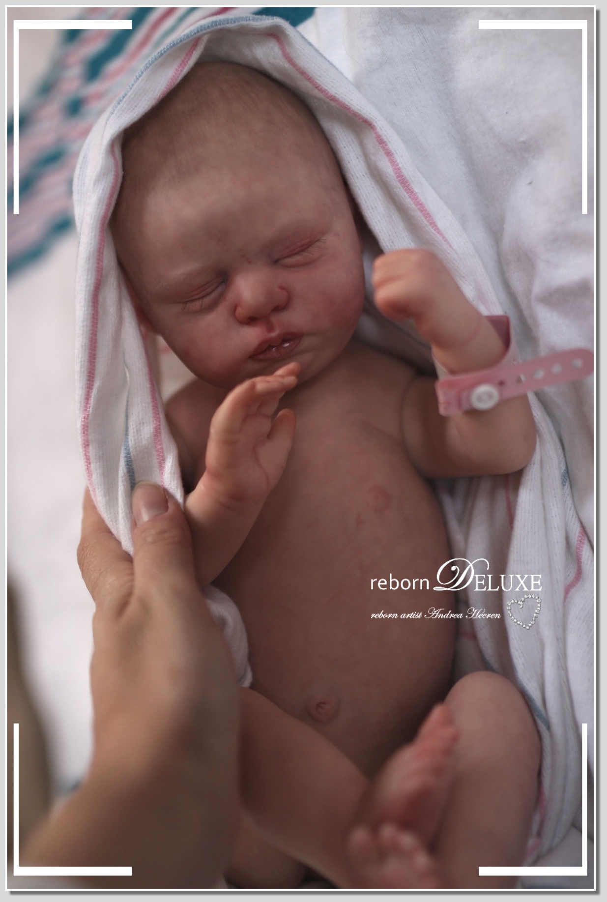 bella reborn kit