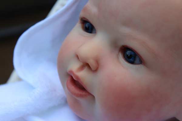 Reborn Bausatz Jaylin Toddler von Jannie de Lange