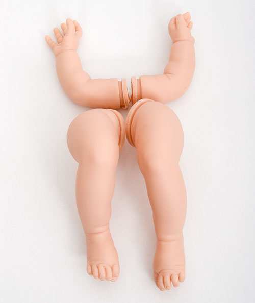 Vinyl Limbs by Reva Schick 7a