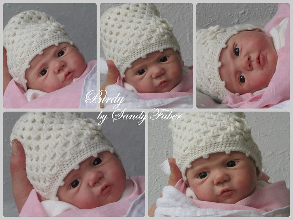 kit reborn birdy