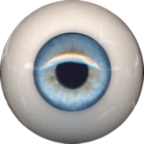 PolyGlass© Augen
