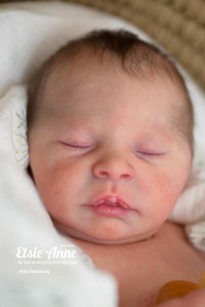 Reborn Bausatz Elsie Anne von Doris Moyers-Hornbogen